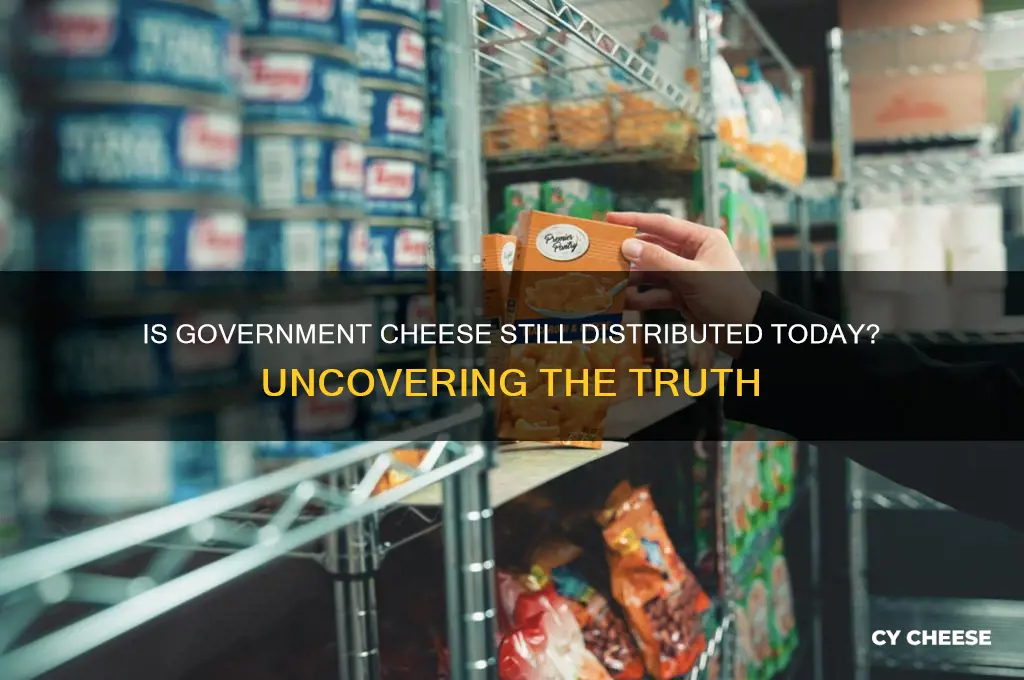 is government cheese still around