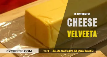 Is Government Cheese Velveeta? Unraveling the Dairy Mystery
