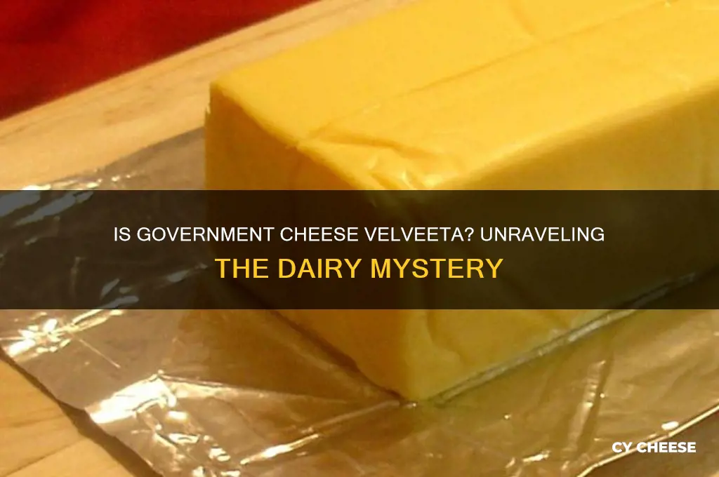 is government cheese velveeta