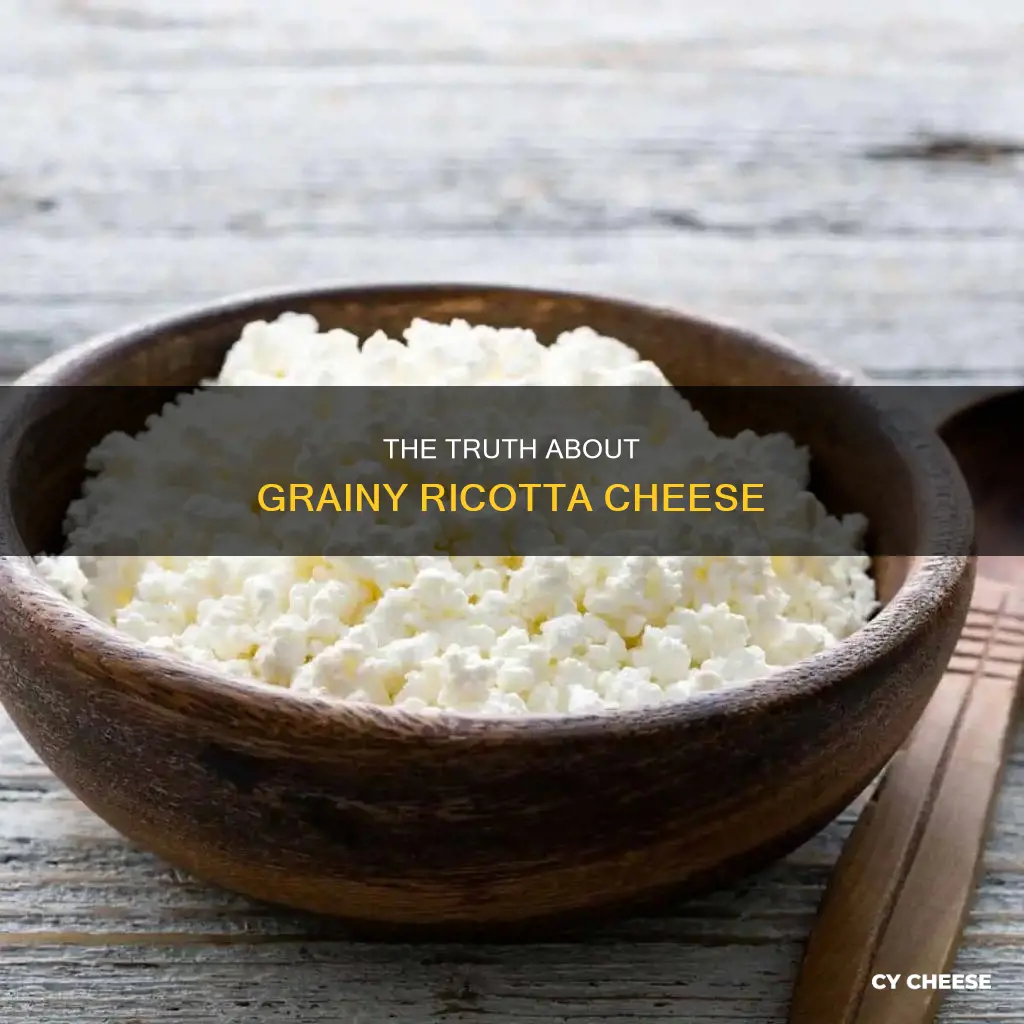 is grainy rioctta cheese bad