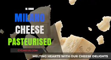 Is Gran Milano Cheese Pasteurised? A Comprehensive Guide