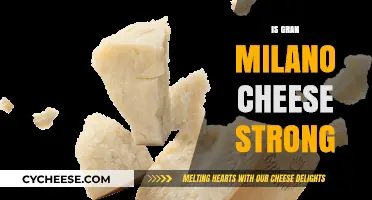Is Gran Milano Cheese Strong? Exploring Its Flavor Intensity and Profile