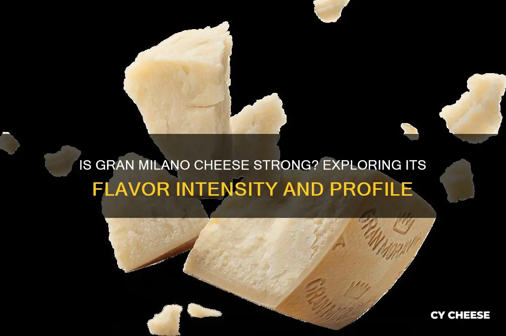 is gran milano cheese strong