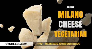 Is Gran Milano Cheese Vegetarian? A Comprehensive Guide for Cheese Lovers