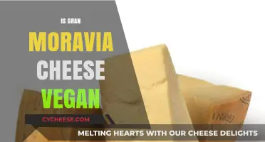 Is Gran Moravia Cheese Vegan? Exploring Ingredients and Alternatives