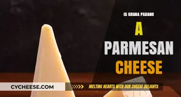 Grana Padano and Parmesan: What's the Difference?
