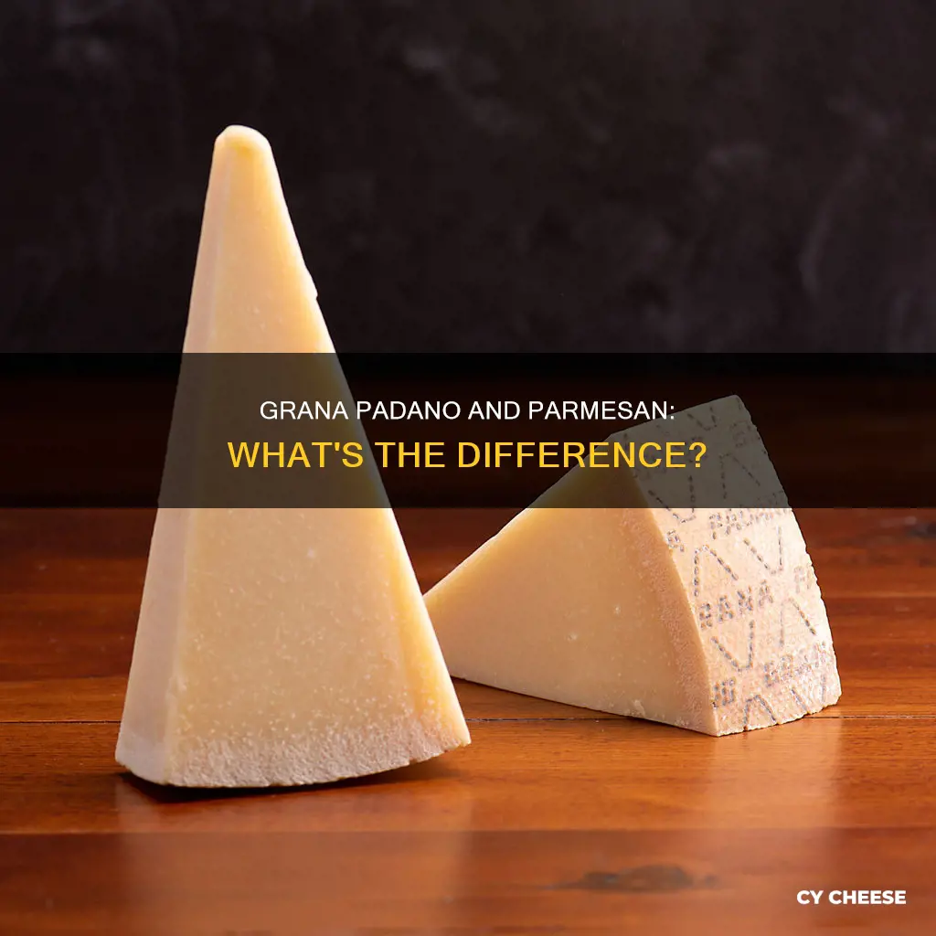 is grana padano a parmesan cheese