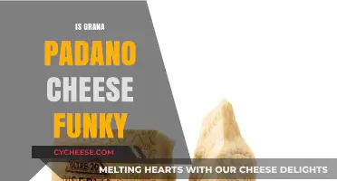 Is Grana Padano Cheese Funky? Exploring Its Unique Flavor Profile