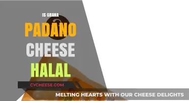 Is Grana Padano Cheese Halal? Exploring Ingredients and Certification