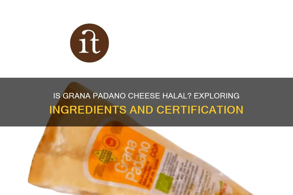 is grana padano cheese halal