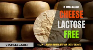 Grana Padano: Lactose-Free Superfood?