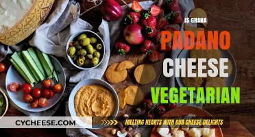 Is Grana Padano Cheese Vegetarian? A Complete Guide for Cheese Lovers