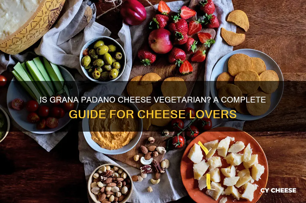 is grana padano cheese vegetarian