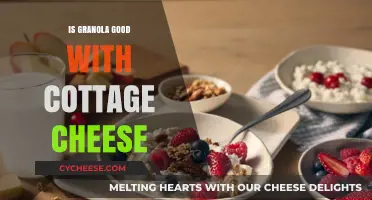 Granola and Cottage Cheese: A Healthy, Tasty Breakfast Combo?