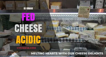 Is Grass-Fed Cheese Acidic? Uncovering the pH Truth Behind Dairy