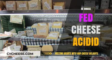 Is Grass-Fed Cheese Acidic? Uncovering the Truth About pH Levels
