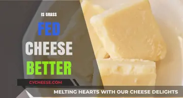 Is Grass-Fed Cheese Better? Uncovering Nutritional and Flavor Benefits