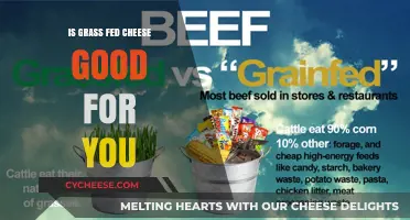 Is Grass-Fed Cheese a Healthy Choice? Benefits and Facts