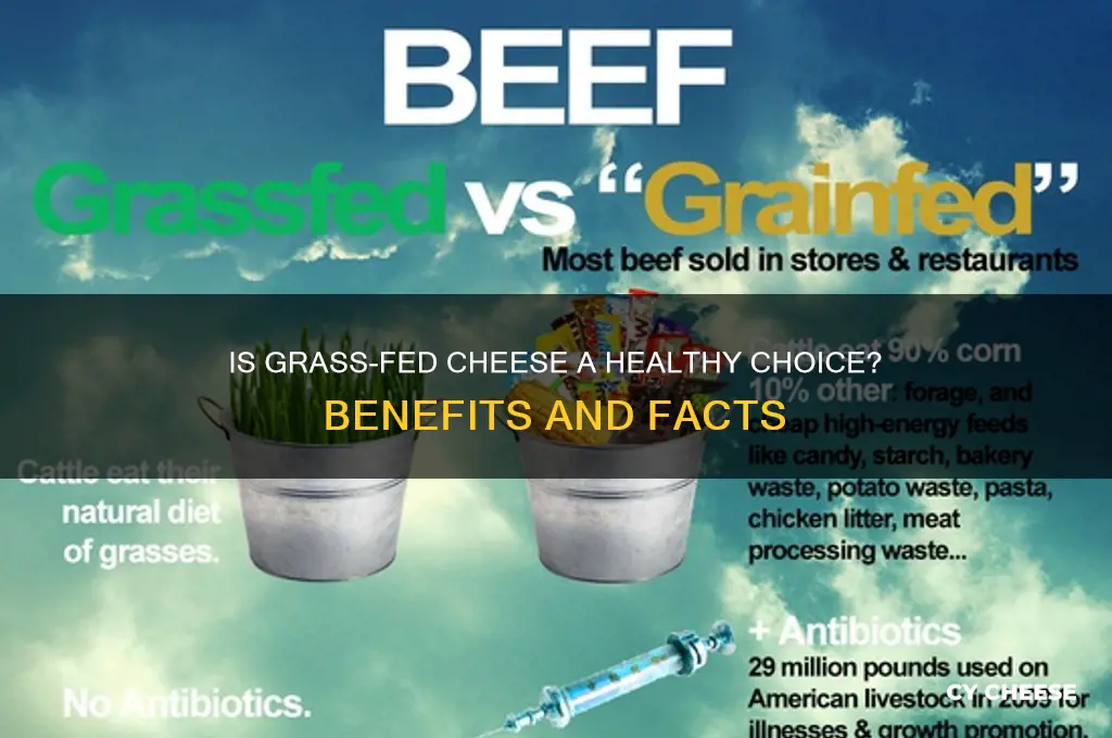 is grass fed cheese good for you