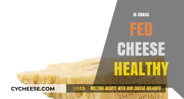Grass-Fed Cheese: Healthy or Hype?