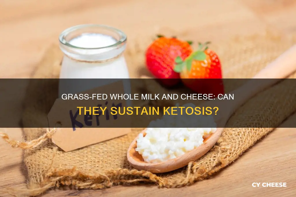 is grass fed whole milk and cheese create ketosis