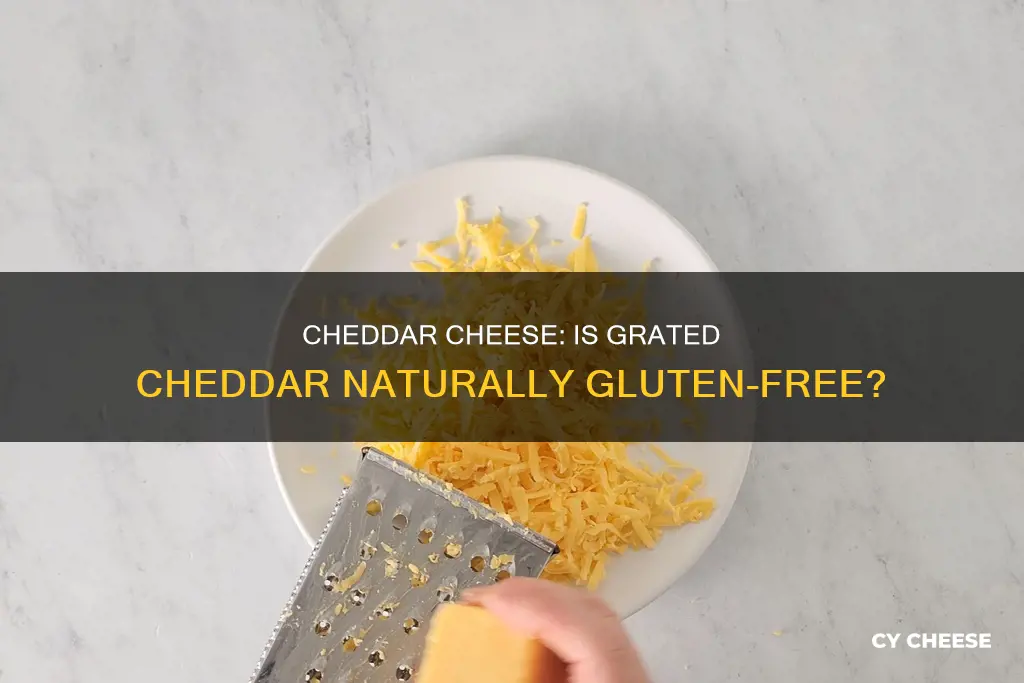 is grated cheddar cheese gluten free