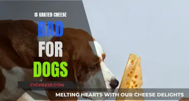Can Dogs Eat Grated Cheese?
