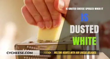 Is White Dust on Grated Cheese a Sign of Spoilage?