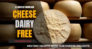 Parmesan Cheese: Dairy-Free or Not?
