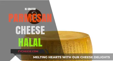 Is Grated Parmesan Cheese Halal? The Answer Unveiled