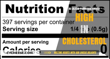 Parmesan Cheese: High Cholesterol or Healthy Indulgence?