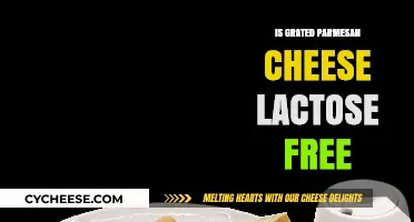 Parmesan Cheese: Lactose-Free Superfood?