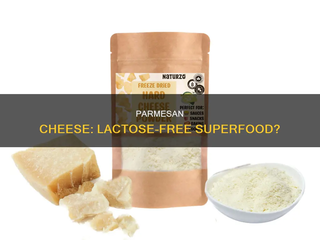is grated parmesan cheese lactose free