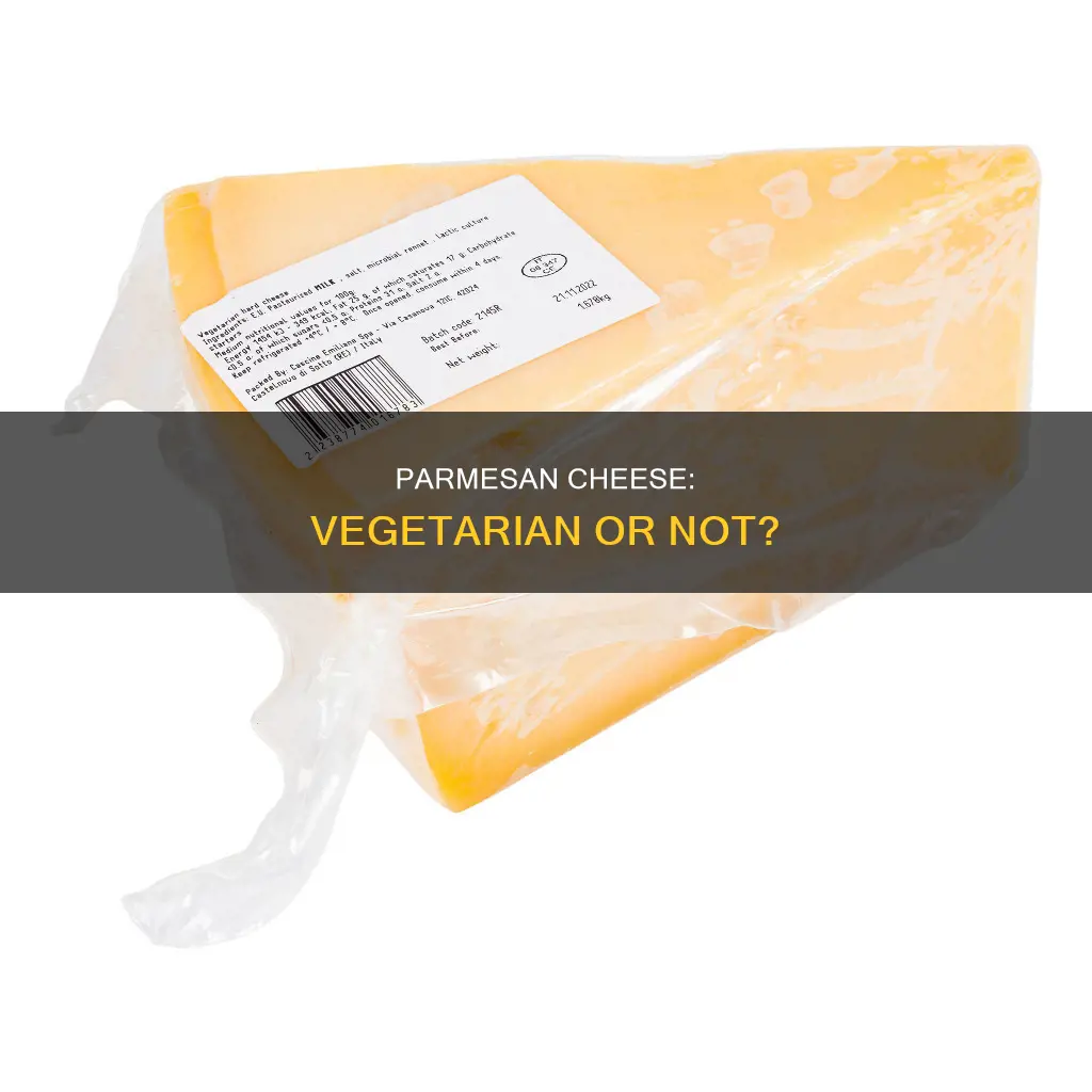 is grated parmesan cheese vegetarian