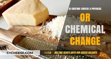 Grating Cheese: Unraveling the Physical vs. Chemical Change Debate
