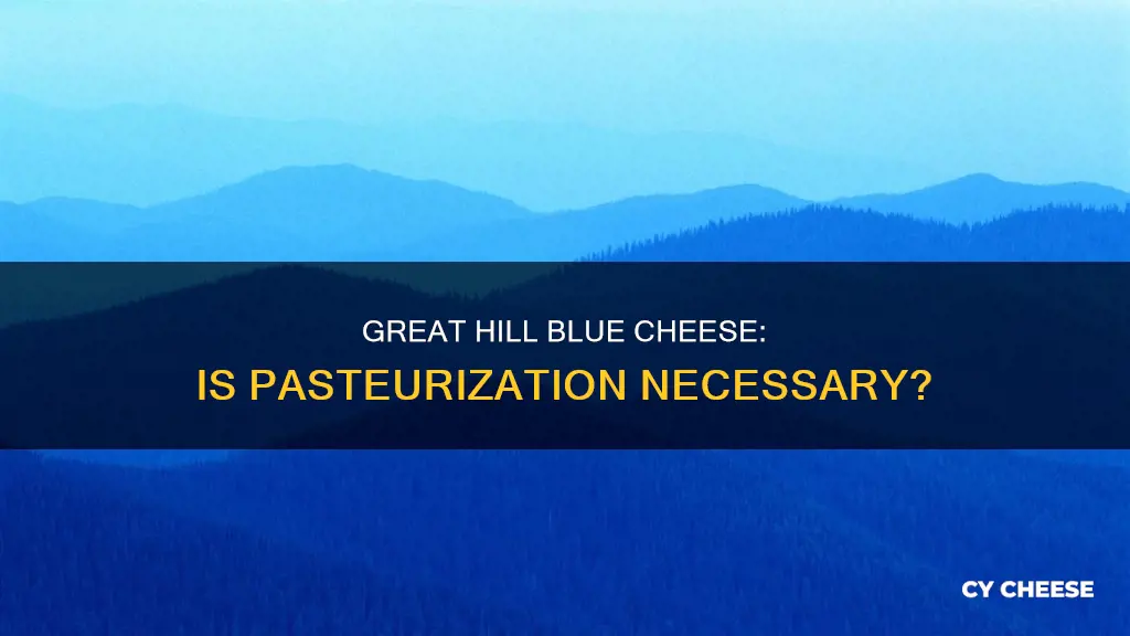 is great hill blue cheese pasteurized
