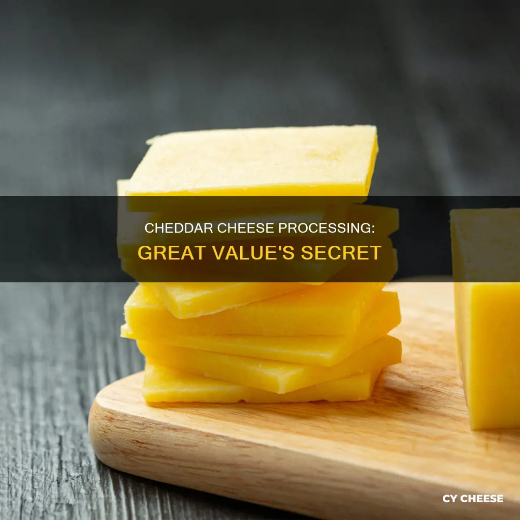 is great value cheddar cheese processed