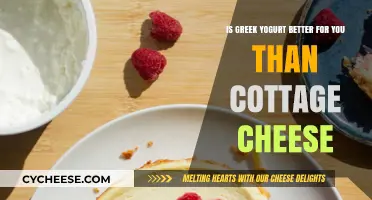 Greek Yogurt vs. Cottage Cheese: Which is Healthier for You?