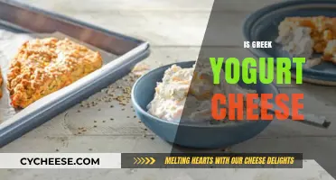 Is Greek Yogurt Cheese? Unraveling the Dairy Dilemma