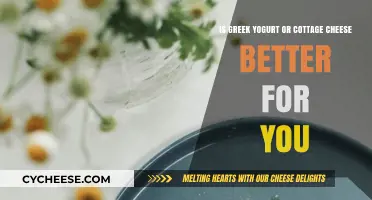 Greek Yogurt vs. Cottage Cheese: Which is Healthier for You?