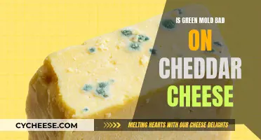 Is Green Mold on Cheddar Cheese a Cause for Concern?