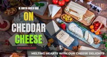 Cheddar Cheese and Green Mold: Safe or Not?