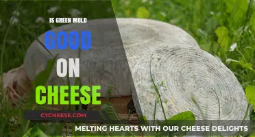 Is Green Mold on Cheese Safe or Should You Toss It?