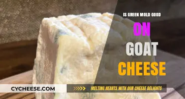 Is Green Mold on Goat Cheese Safe or Spoiled?