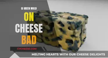 Cheese Mold: Green is Not Always Good