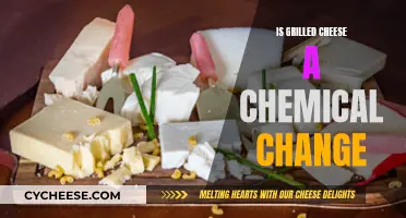 Grilled Cheese: Chemistry Experiment or Delicious Sandwich?