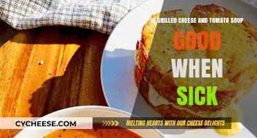Grilled Cheese and Tomato Soup: The Ultimate Sick Day Comfort Food?