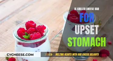 Grilled Cheese: Friend or Foe of an Upset Stomach?