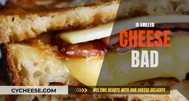 Cheese Conundrum: Is Grilled Cheese Actually Bad?