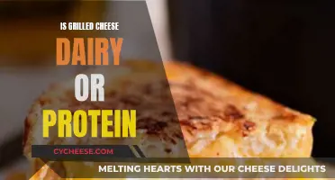 Grilled Cheese: Dairy or Protein?